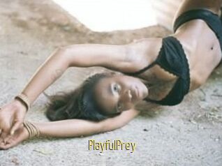 PlayfulPrey