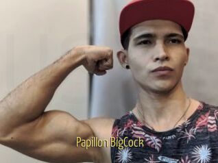 Papillon_BigCock