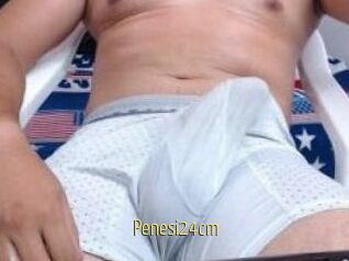 Penesi24cm