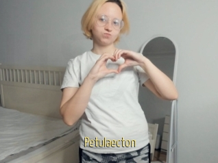 Petulaecton