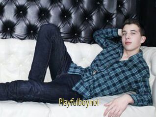 Playfulboynoi