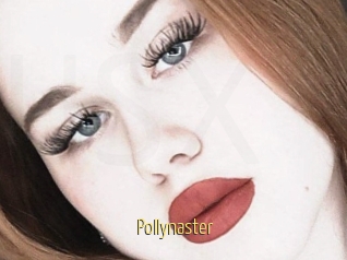 Pollynaster