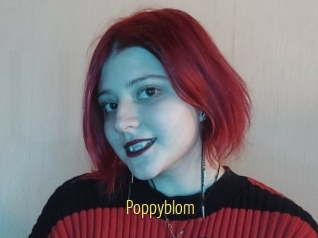 Poppyblom