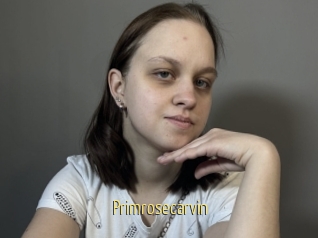 Primrosecarvin