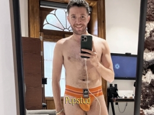 Pupstud