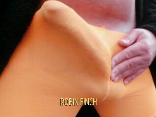 ROBIN_FINCH