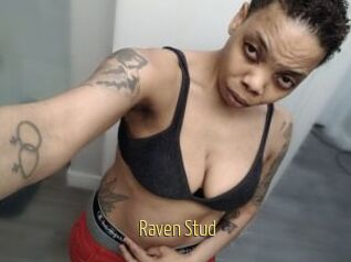 Raven_Stud