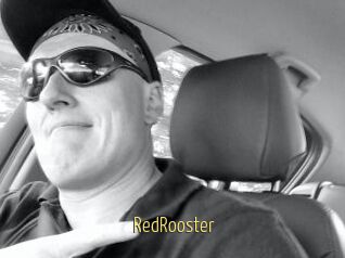 RedRooster