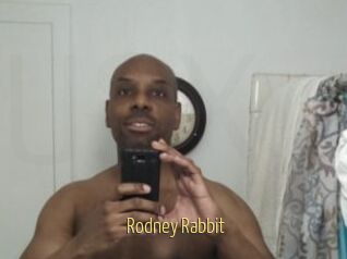 Rodney_Rabbit
