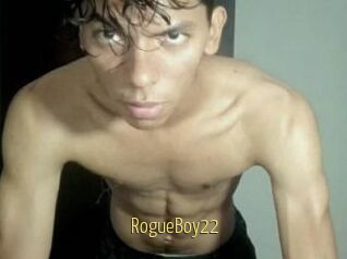 RogueBoy22