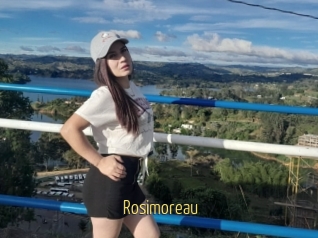 Rosimoreau