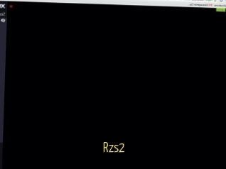 Rzs2