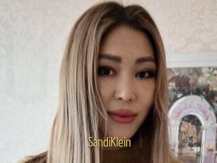 SandiKlein