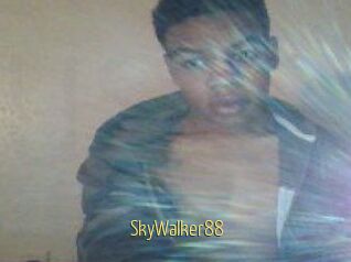 SkyWalker88