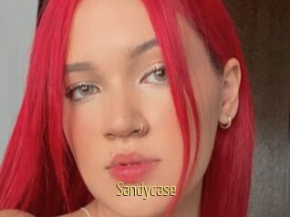 Sandycase