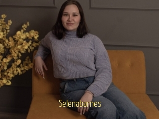 Selenabarnes