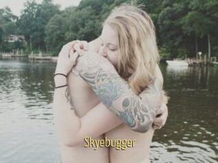 Skyebugger