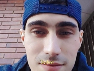 Skyleer