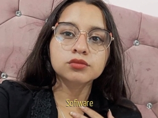 Sofiware