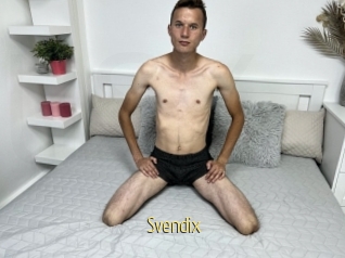 Svendix