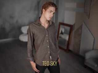 TEO_SKY