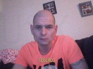 TIJGER01