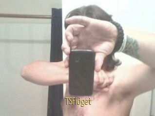 TSFidget