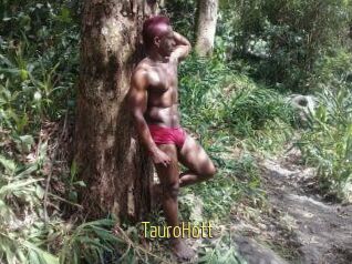 Tauro_Hott