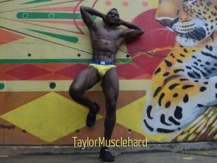 TaylorMusclehard