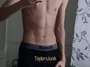 TaylorsJunk