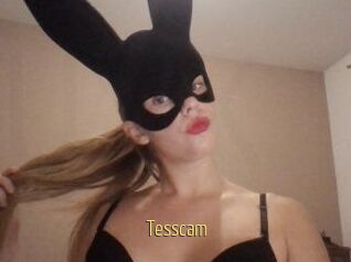 Tesscam