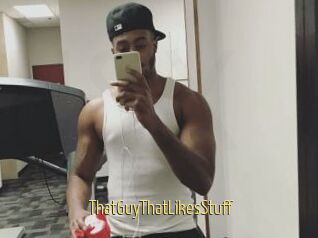 ThatGuyThatLikesStuff