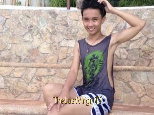 TheLastVirginTS