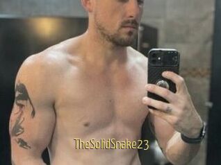 TheSolidSnake23