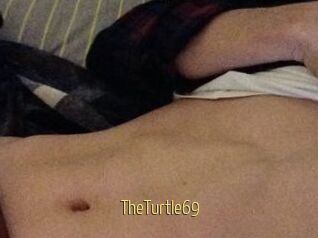 TheTurtle69