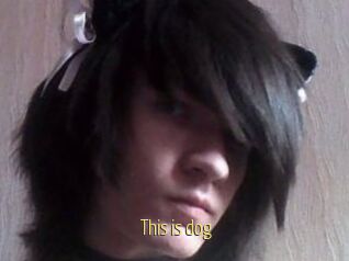This_is_dog