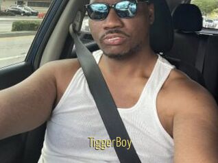 TiggerBoy