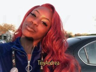 TinyAndrea