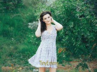 TinyEmmy