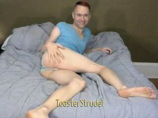 ToasterStrudel