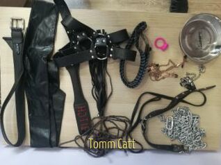 Tomm_Catt
