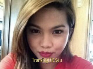 TransBigCOCK4u