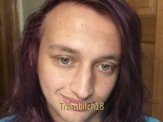 Transbitch18