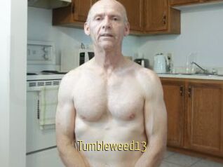 Tumbleweed13