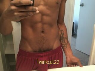Twinkcut22