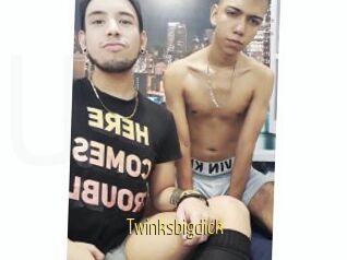 Twinksbigdick