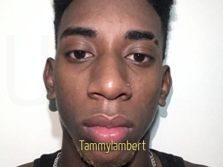 Tammylambert