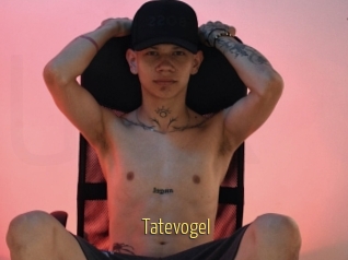 Tatevogel