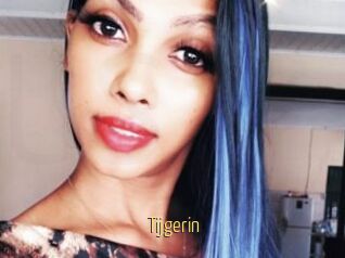 Tijgerin