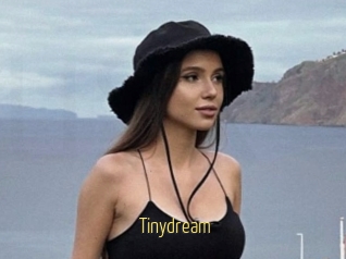 Tinydream